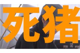 琼山贷款清欠服务